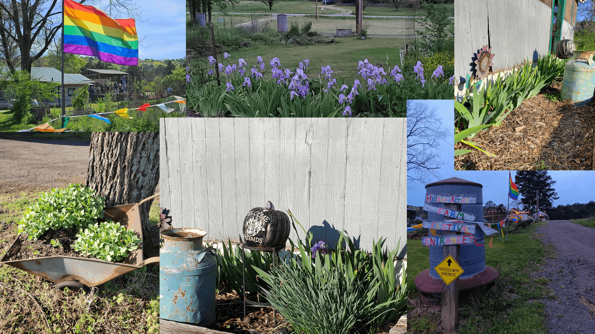 Assorted farm pictures